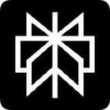 Perplexity官方图标