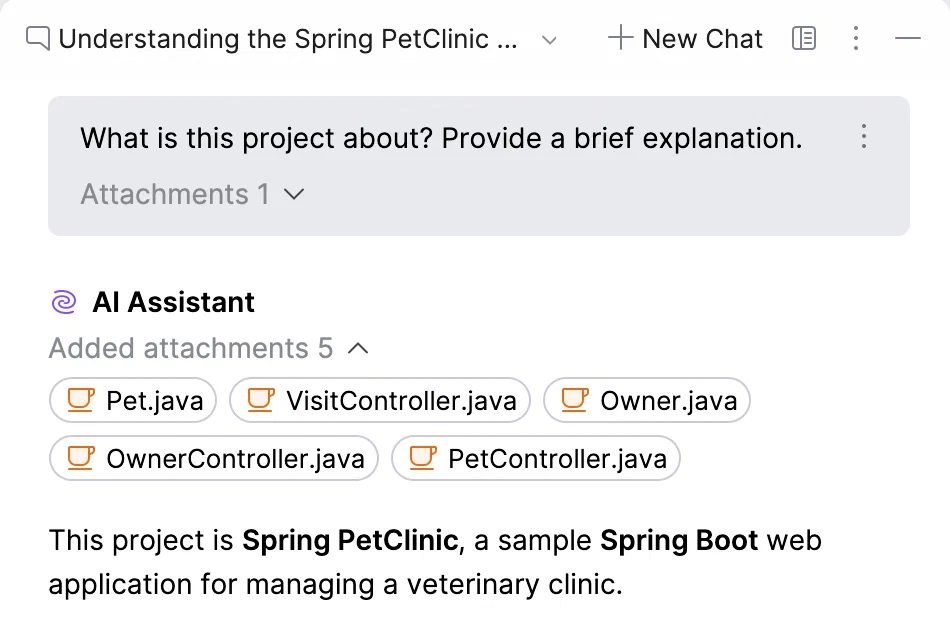 JetBrains AI 项目问答与所用代码文件